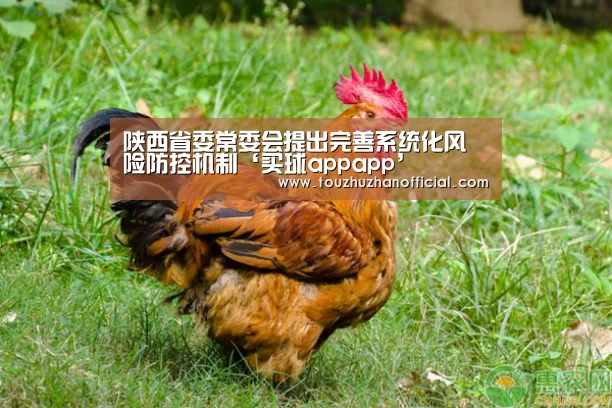 陕西省委常委会提出完善系统化风险防控机制‘买球appapp’(图1) 买球开户
